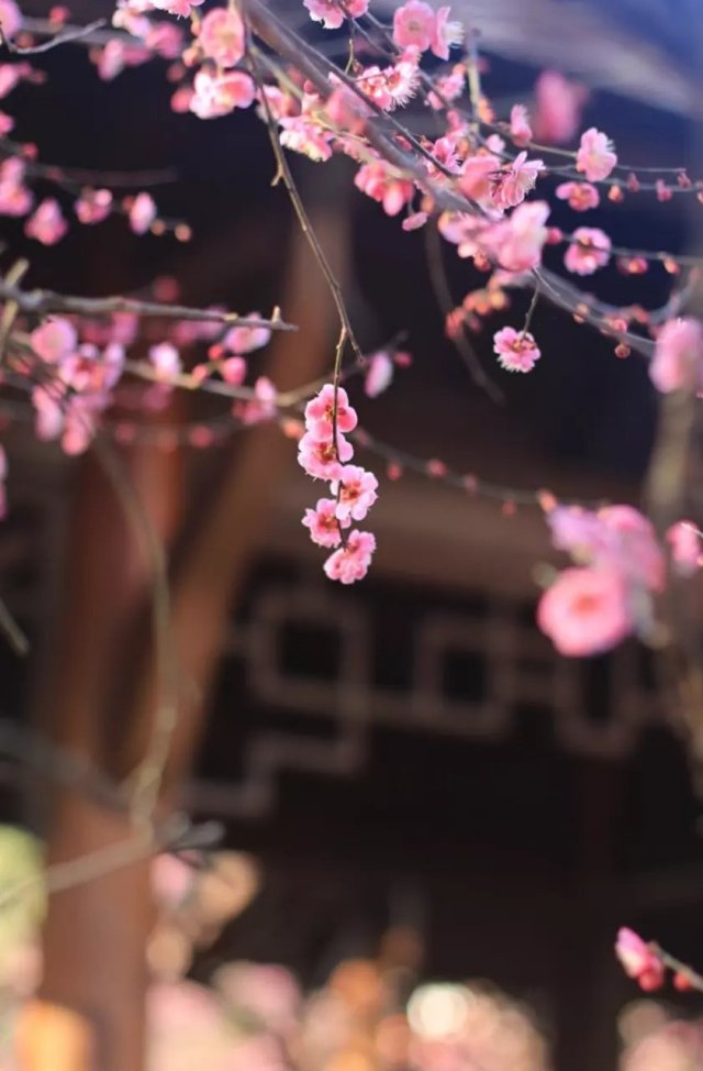 绔嬫槬涓囩墿澶嶈嫃闈欏緟鏄ユ潵,涓囩墿澶嶈嫃闈欏緟鏄ユ潵鍘熸枃