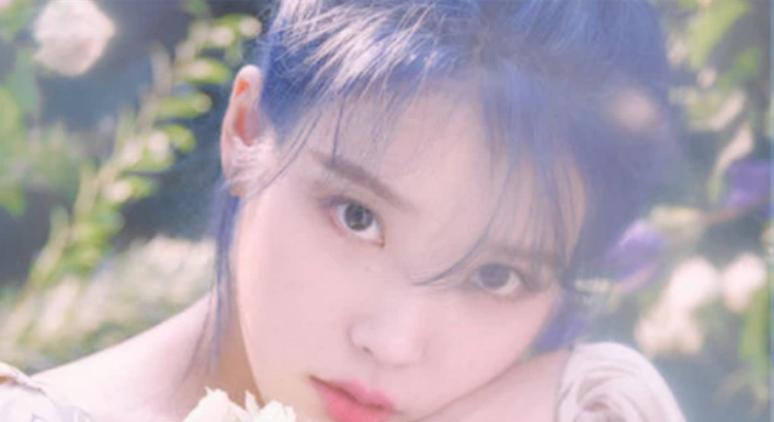 允儿的宠物，IU宠物，Lisa宠物，看到泫雅宠物：挺可爱