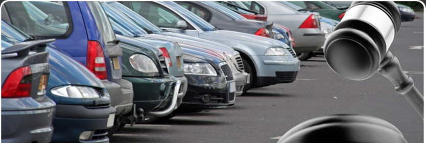 美国2手车拍卖行,美国豪车二手车拍卖