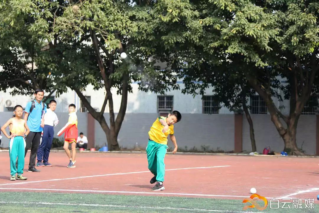 赛场展英姿绽风采,小学生田径赛场展英姿