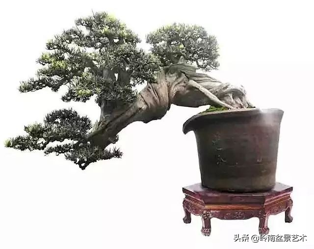 鎮礀缁濆閫㈢敓,鎮礀鐩嗘櫙澶у叏