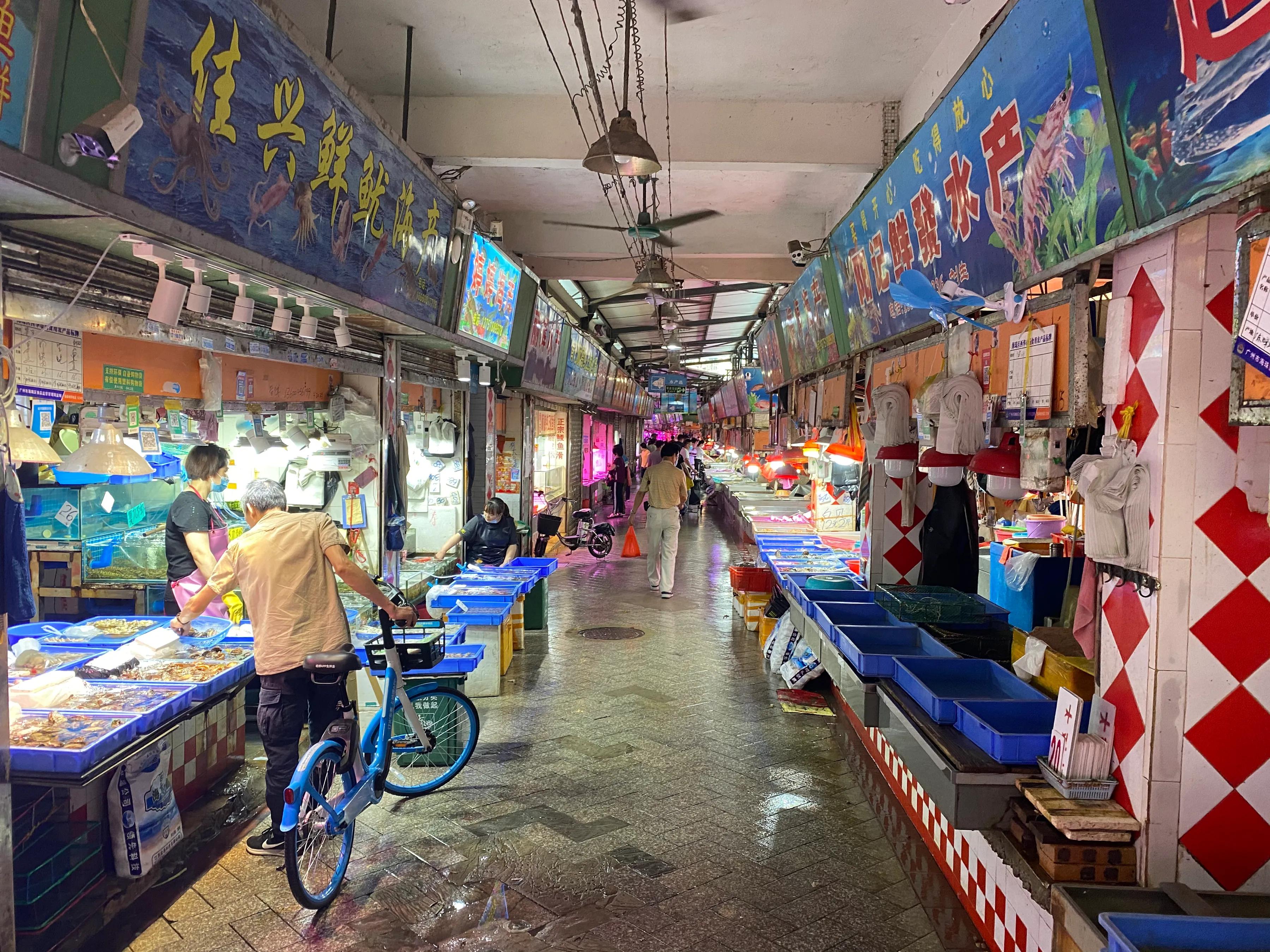 广州顺德五天旅游攻略最新价格,广州顺德5日游自由行攻略