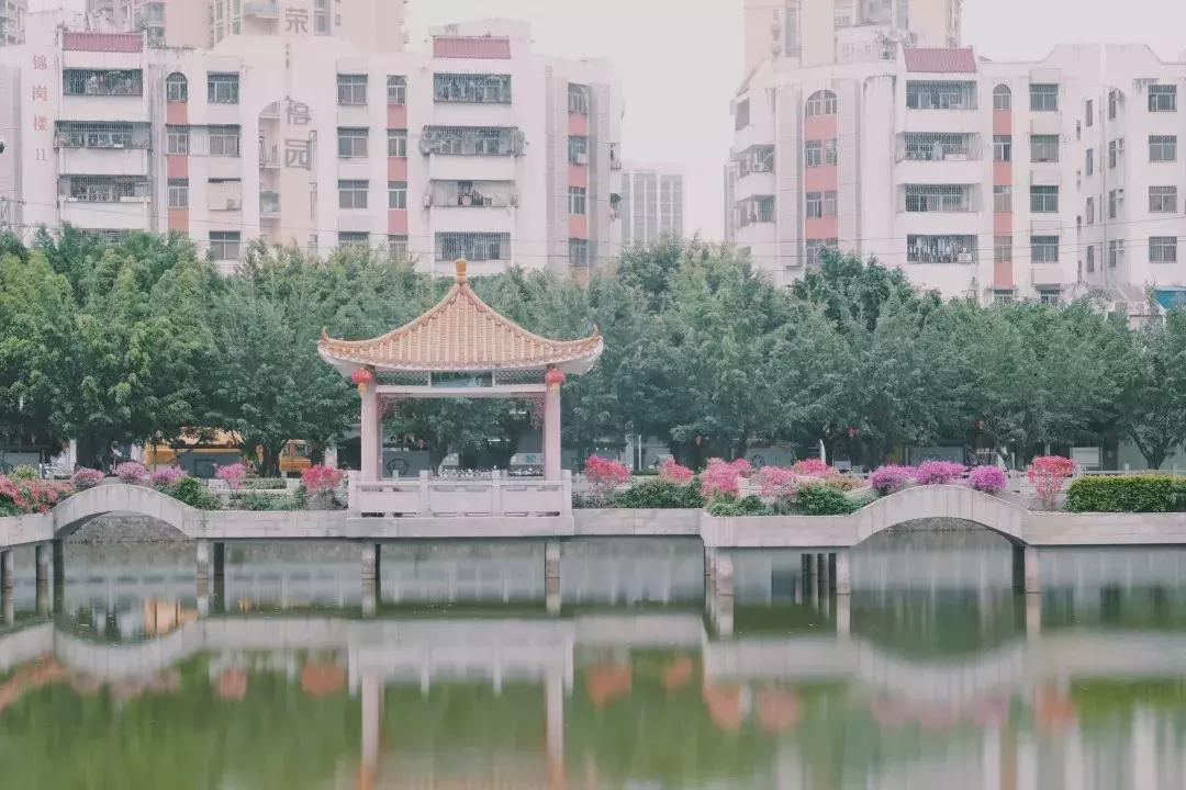 每个地方都有个沙井,好多地方叫沙井