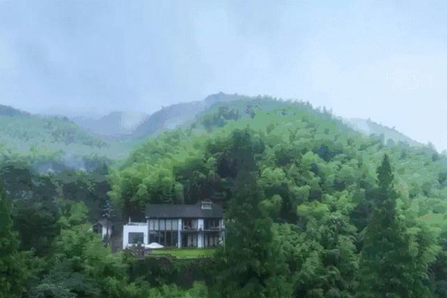 开民宿赚钱的老板,开民宿到底赚不赚钱