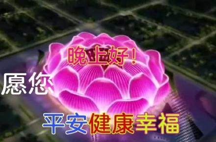 广州恒大荷花足球场视频,恒大新球场恶俗