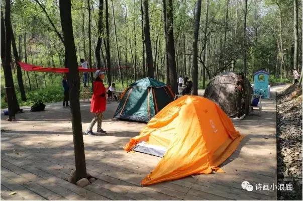 孟津值得去的景点,孟津有啥好的旅游景点