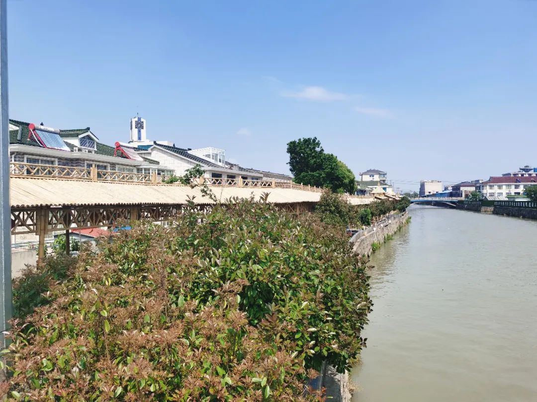 江阴人少景美,江阴有哪些人文景观