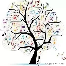 初学钢琴五线谱入门视频教程全集,钢琴五线谱音符初学入门速成