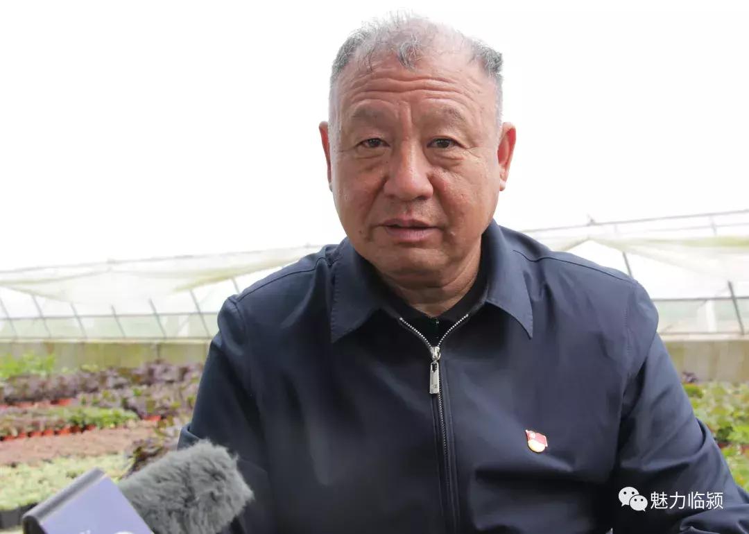 临颍:尚纪安计划5年把刘庄打造成河南最大的花卉种植交易基地