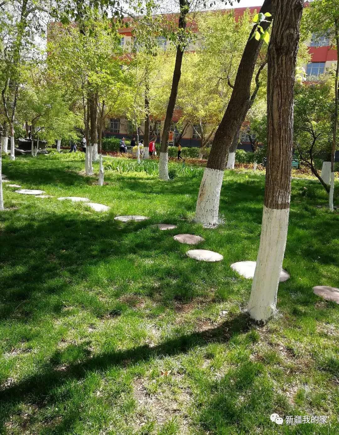 校园美食节登上热搜，*疆新**师范大学没想到你是这样的