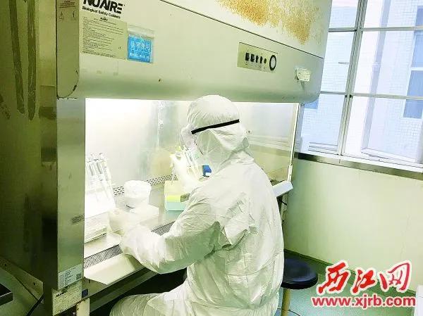 揭示背后的故事,揭露背后的真实故事