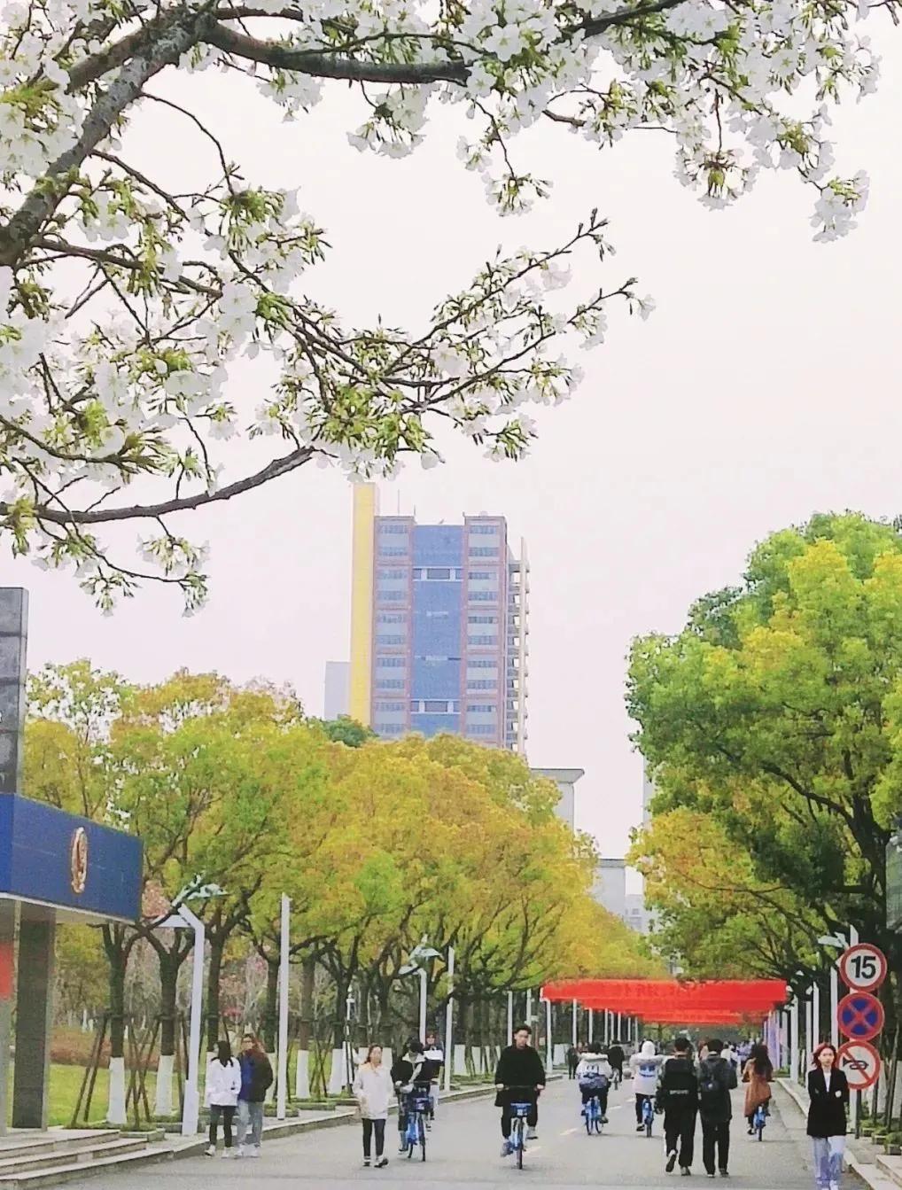 杭州美职学校风景,杭州美丽学校评选