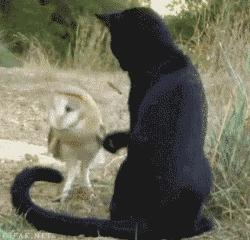 让你心动的搞笑图片,搞笑gif笑死人的动图