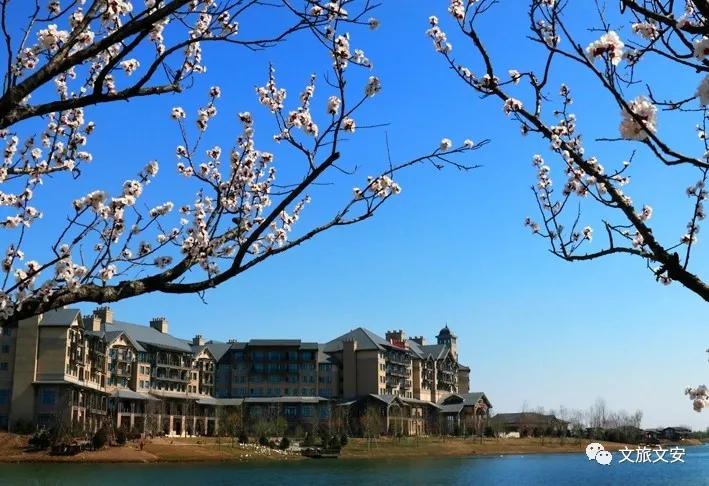 河北文安鲁能生态城,鲁能生态园文安宣传片