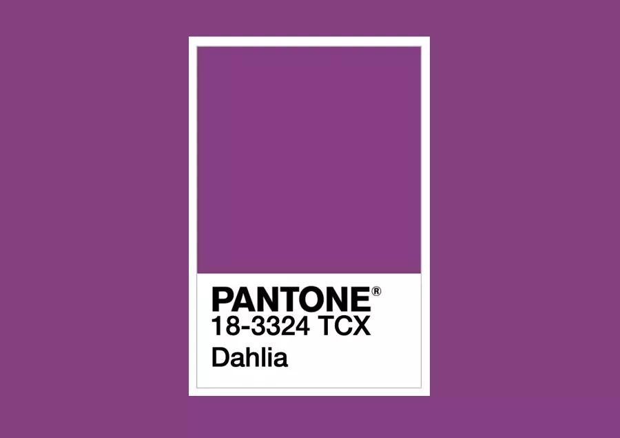 美到犯规的春装,2022春夏潘通发布流行色