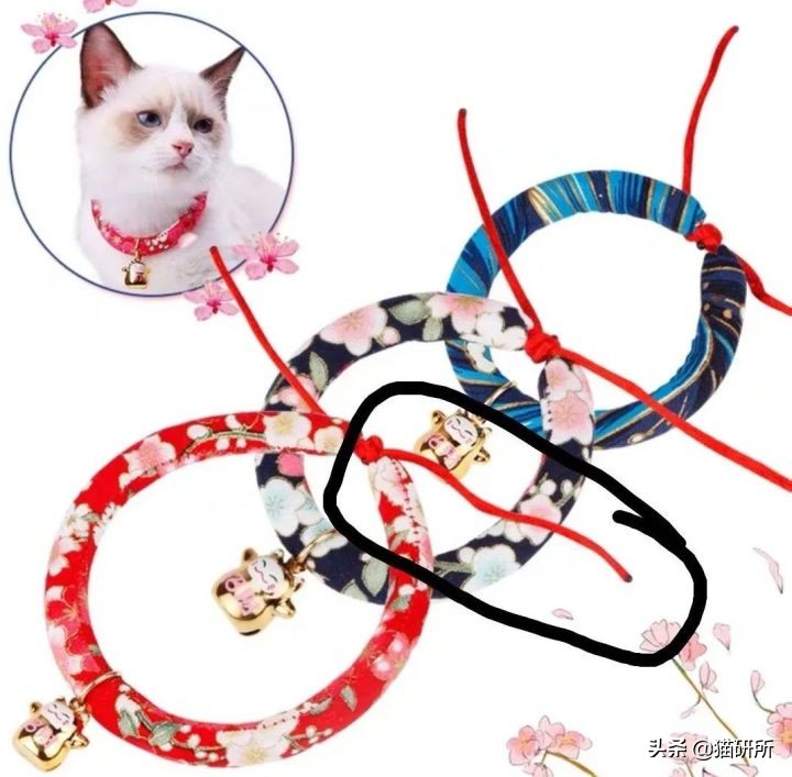 猫咪项圈对猫咪有危害吗,猫项圈给猫咪带来的危害