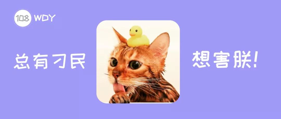 新手铲屎官第一次给猫洗澡,给猫咪洗澡的时候猫咪为什么怕水