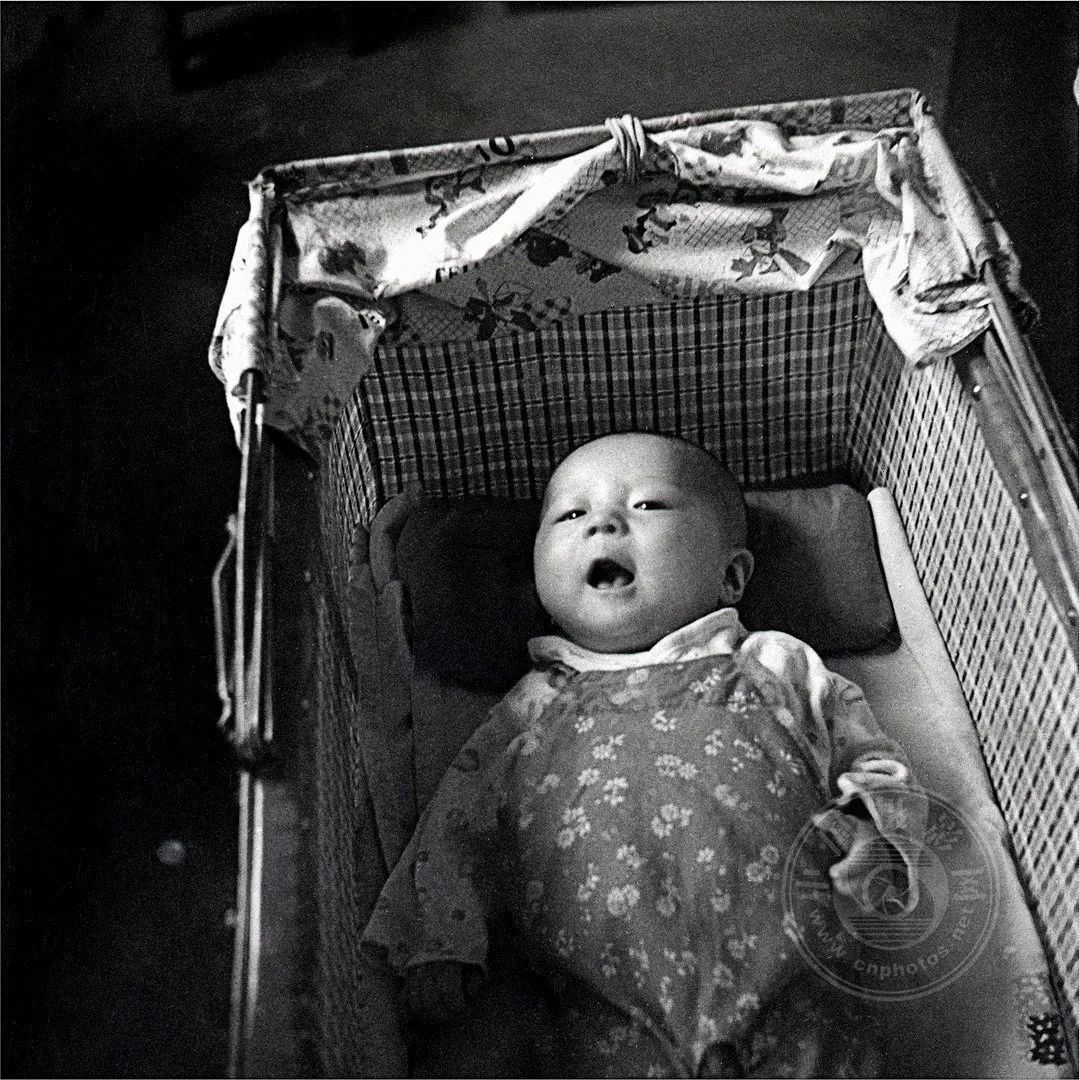 刘凤林的画家,摄影中国签约摄影师照片