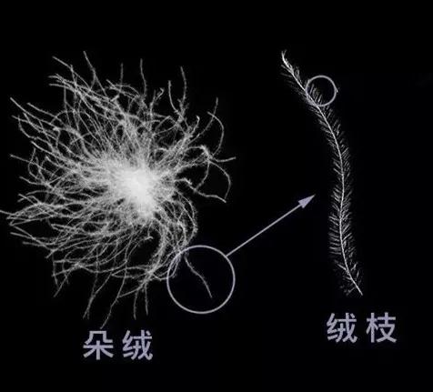 承认吧，越厚的被子越鸡肋