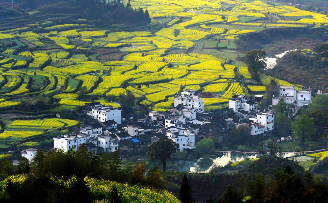 中国十大绝美古村落,特色古村落景区有哪些景点