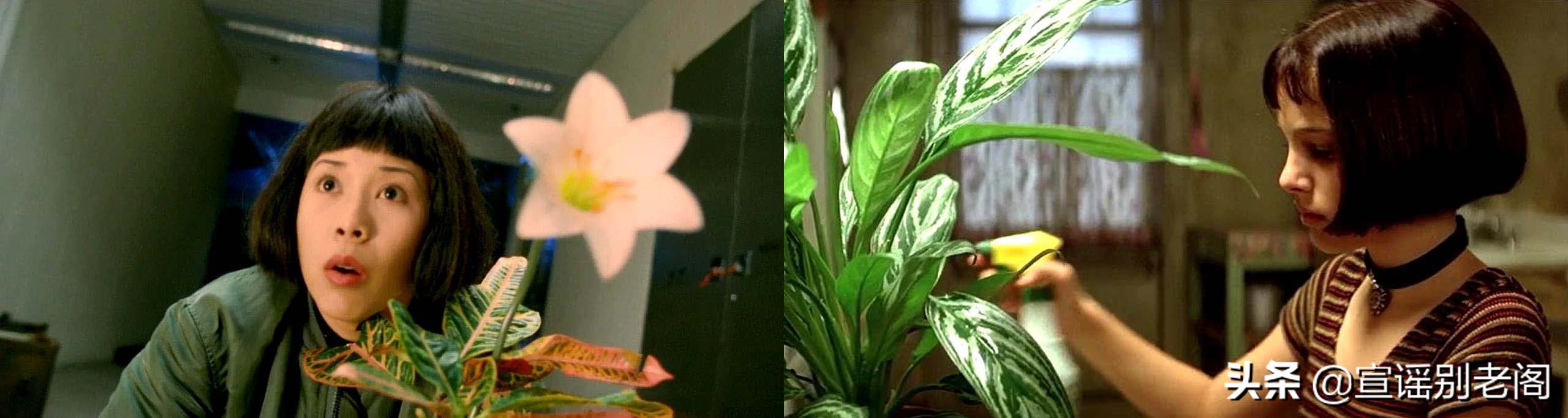 大话西游是周星驰的还是刘镇伟的,刘镇伟周星驰电影大话西游