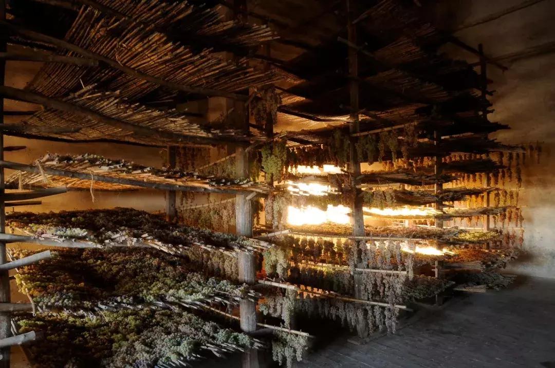 雄狮城堡,gucci雄狮城堡品鉴会