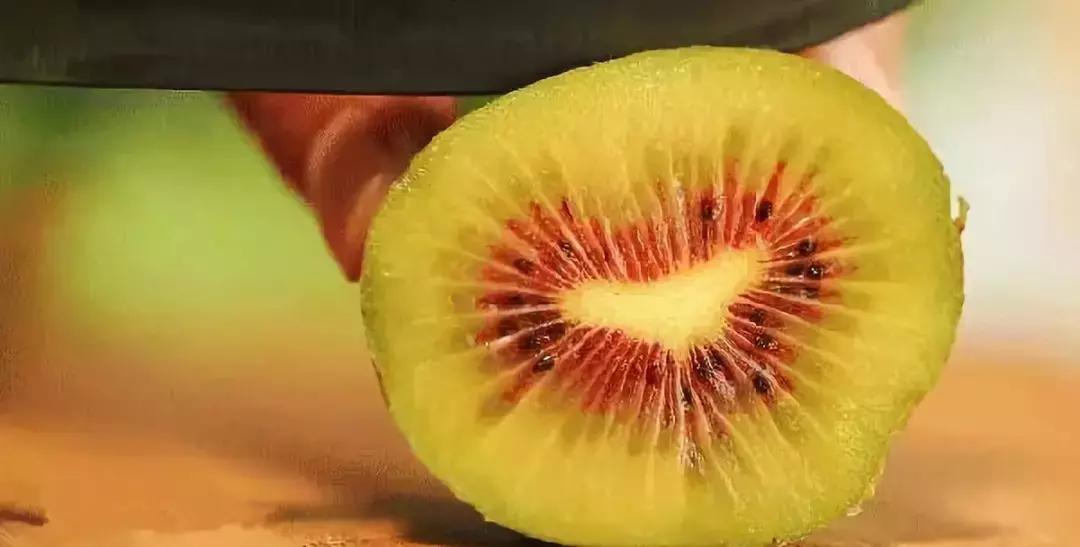 山东7月份有哪些水果可以采摘,山东10月份有什么水果可以采摘