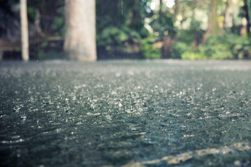 婴儿哭得很大声给奶喝就不哭,婴儿很轻声的哭