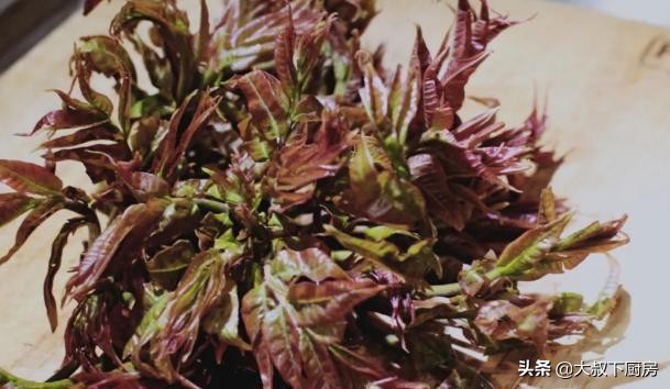 简单易学的家常菜推荐香椿炒鸡蛋,香椿炒鸡蛋是春天不可多得美食