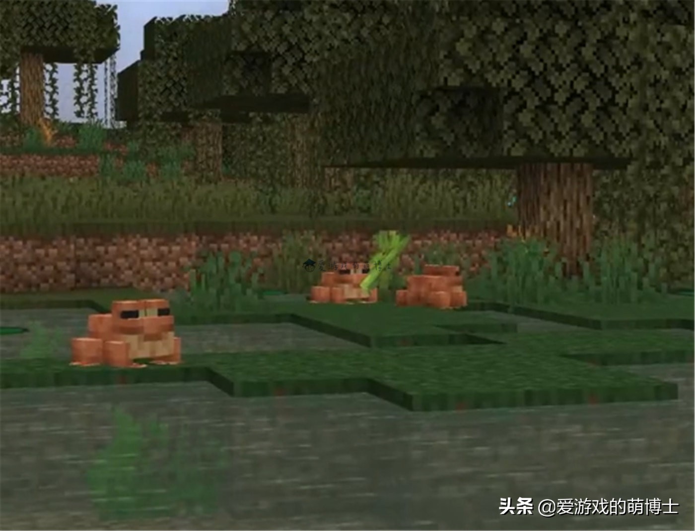 我的世界新版本爆料1.20,我的世界更新内容讲解玩法