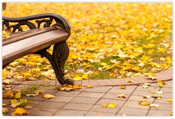 迁入新址，光大25载征程的秘密是什么？