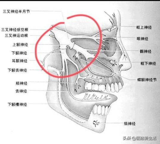 功能性疾病包括哪些,功能性疾病最好的治疗方法
