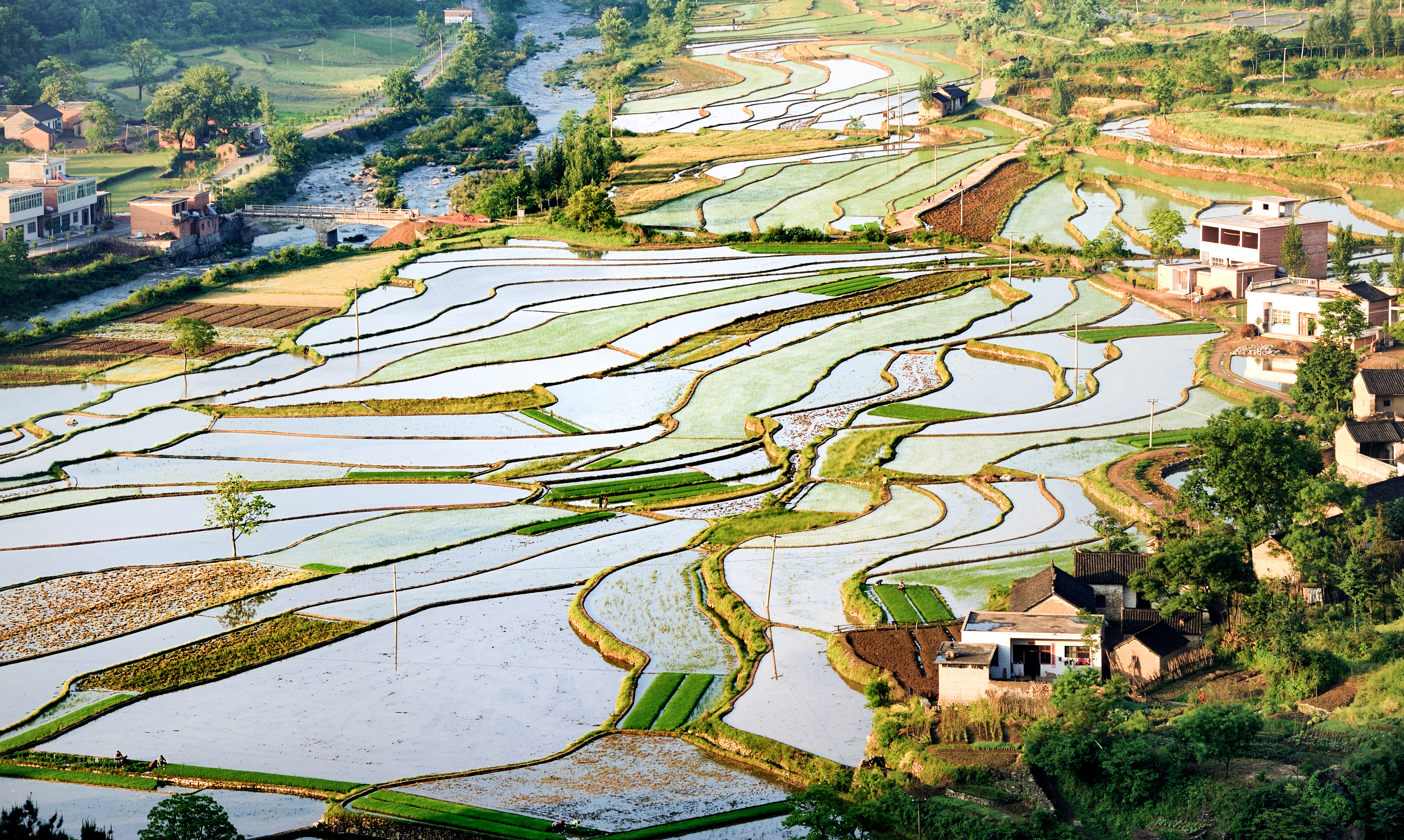 我与尼康北京行,尼康70-300mmf4.5-5.6g画质