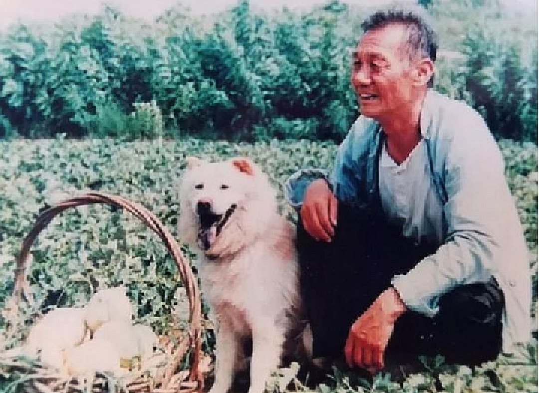 篱笆女人和狗田成仁扮演者,篱笆墙的女人田成仁