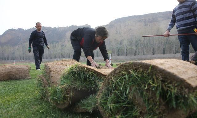 河南小伙好吃懒做,河南小伙放弃百万年薪回家种地