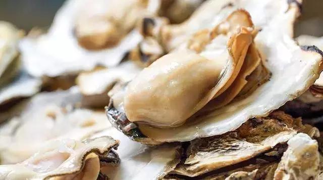 一入蚝门深似海生蚝,一入蚝门深似海从此虾蟹是路人