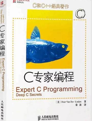 c语言代码规范的书籍,计算机编程c语言入门书籍