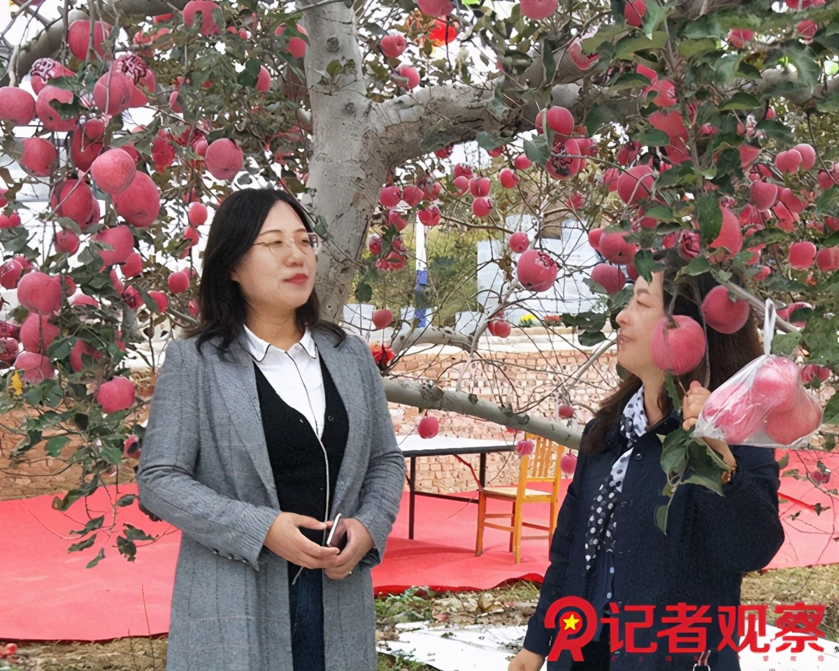 苹果小镇体验基地,吉县苹果体验中心