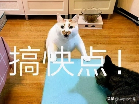 jump商城100港币,jump商城靠谱吗