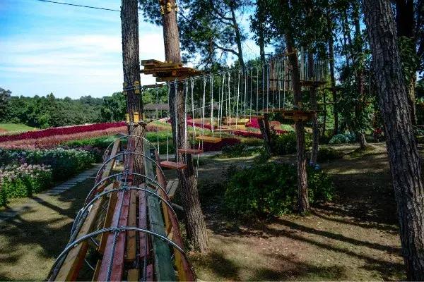 石象湖景区团购,石象湖景区门票特价