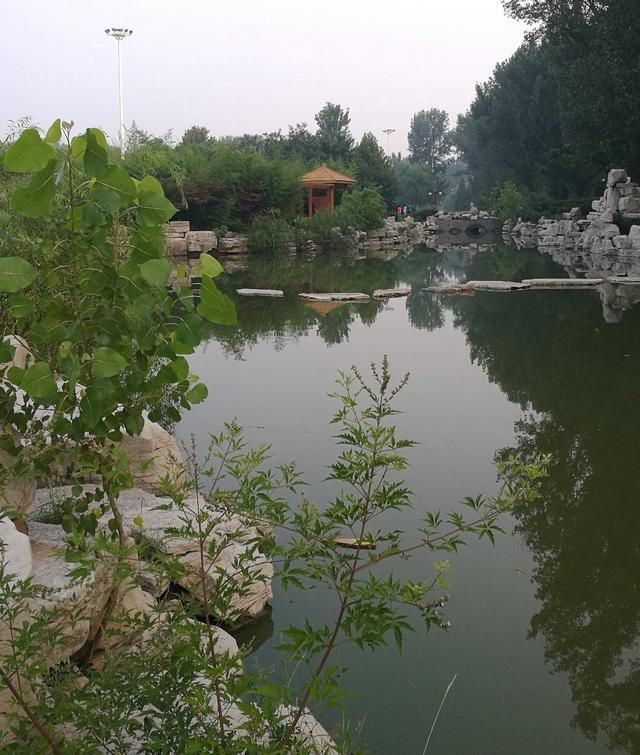 潍坊最好的高中排名前十,2022年潍坊高考各高中成绩排行榜