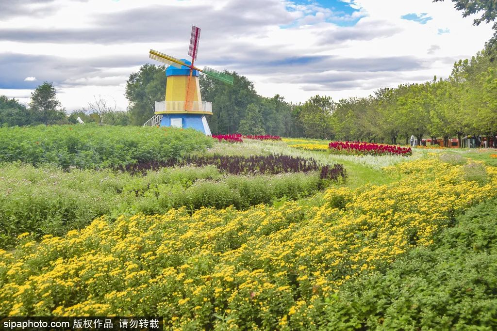 北京花海免费旅游,北京看花海最好的地方