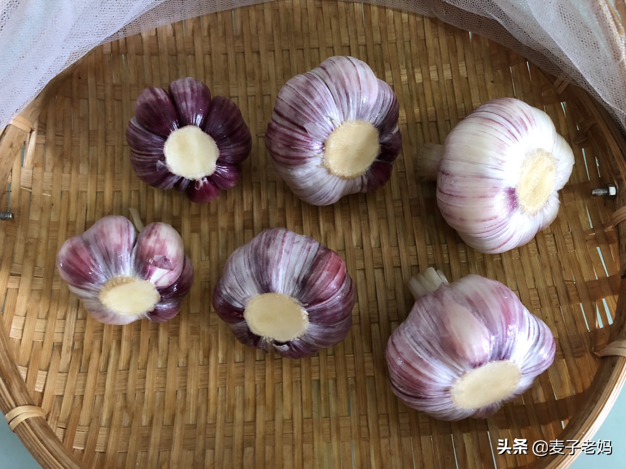 鲜蒜头这样腌一下，酸甜爽脆、生津开胃，放一年都不坏，夏日必备