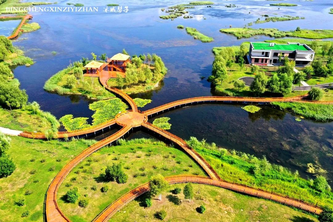 再返富锦，为着那份飘着稻花香的“湿”意约定