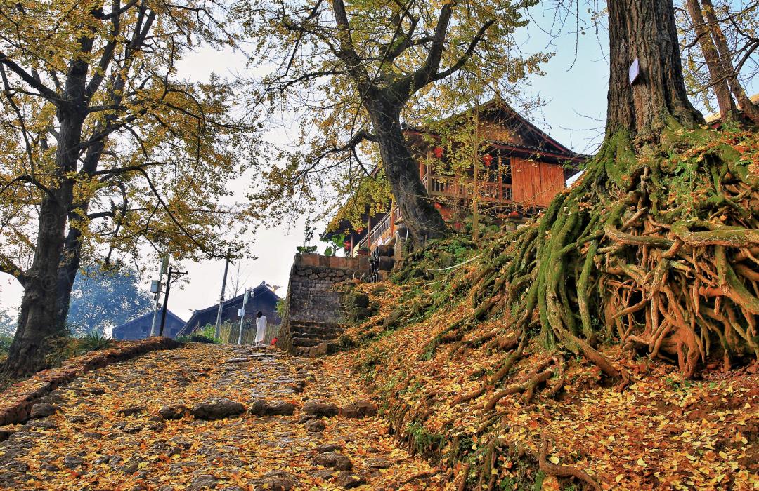 贵州景点自驾地图全图最新,贵州旅游攻略一览表