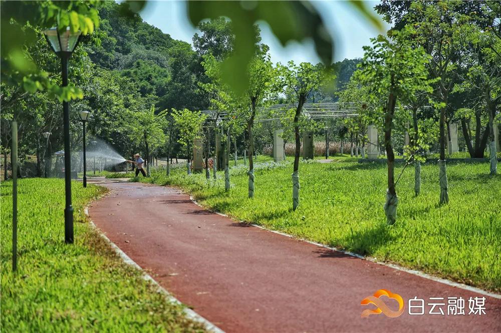 安徽太和发展前景,未来广阔的发展前景