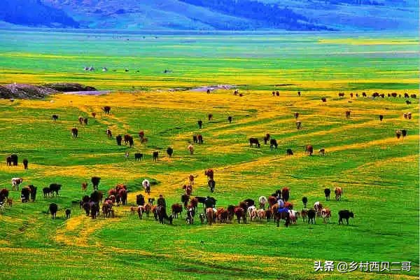 全国各地特产一览表,中国各地特产一览表