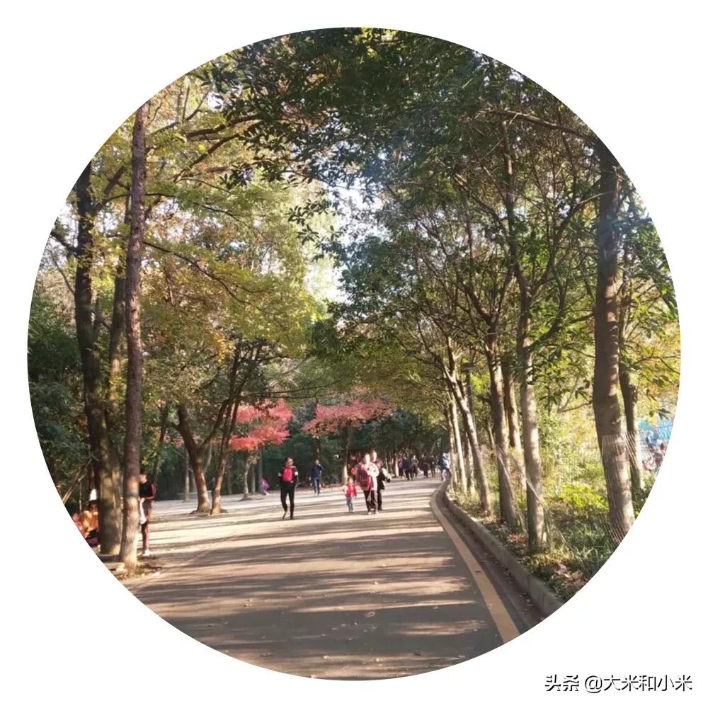 自闭症的儿子去世了,12岁男孩自闭症离世