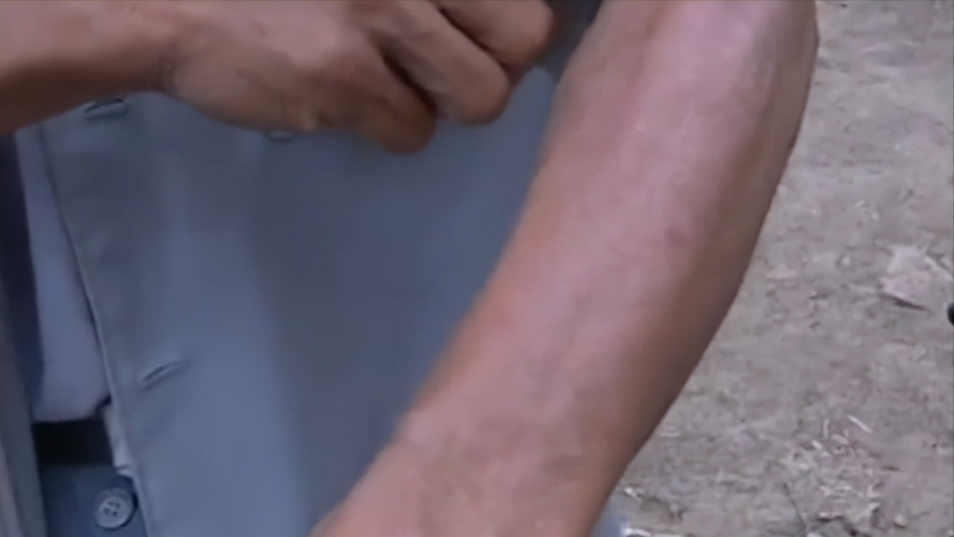 毒蝎进村的真实事件,毒蝎进村的真实原因