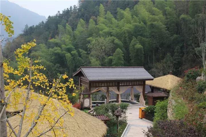 娴欐睙涔嬪績鏃呮父鏅偣,閫傚悎鍐ぉ鍘荤殑姹熷崡娓╂硥灏忛晣